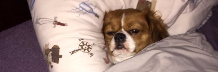 laur104's profile banner image