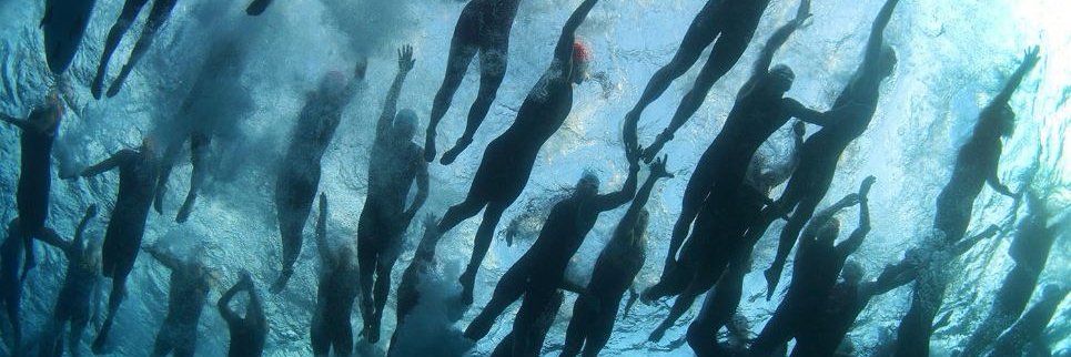 Janita Poe, PhD banner
