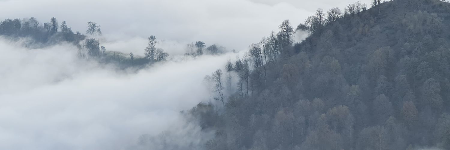 sinasoltan's profile banner image