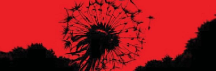 Wordsmith✒️ - Marc Perkins banner