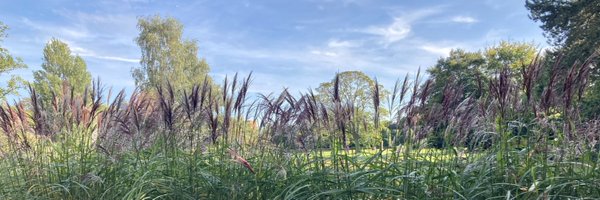 LindsayStringer Profile Banner