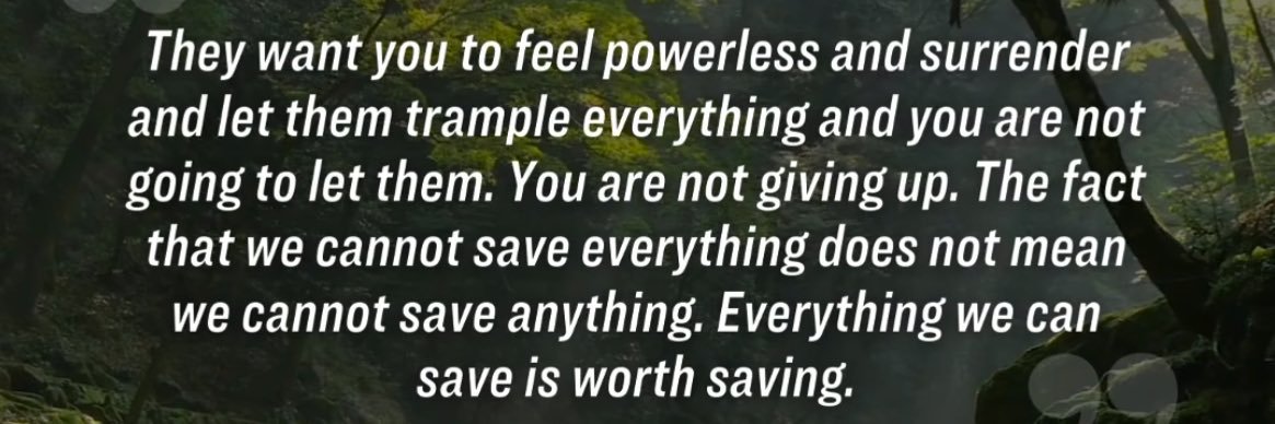 lee williams Never Give Up Never Surrender🌎🎬 banner