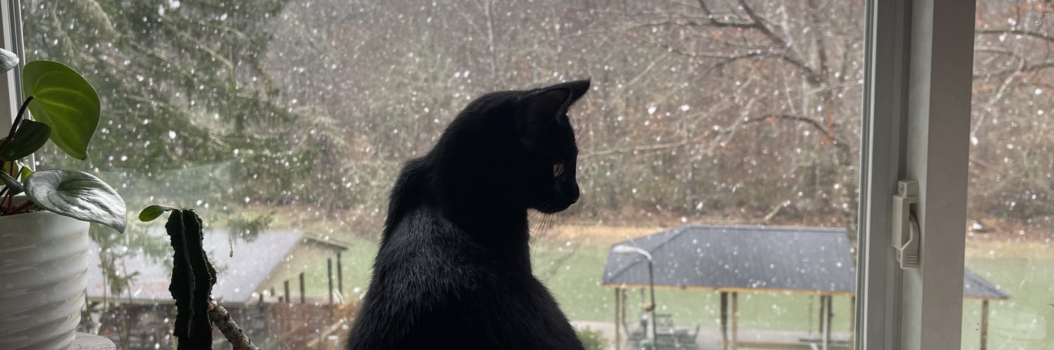 paigerenee71's profile banner image