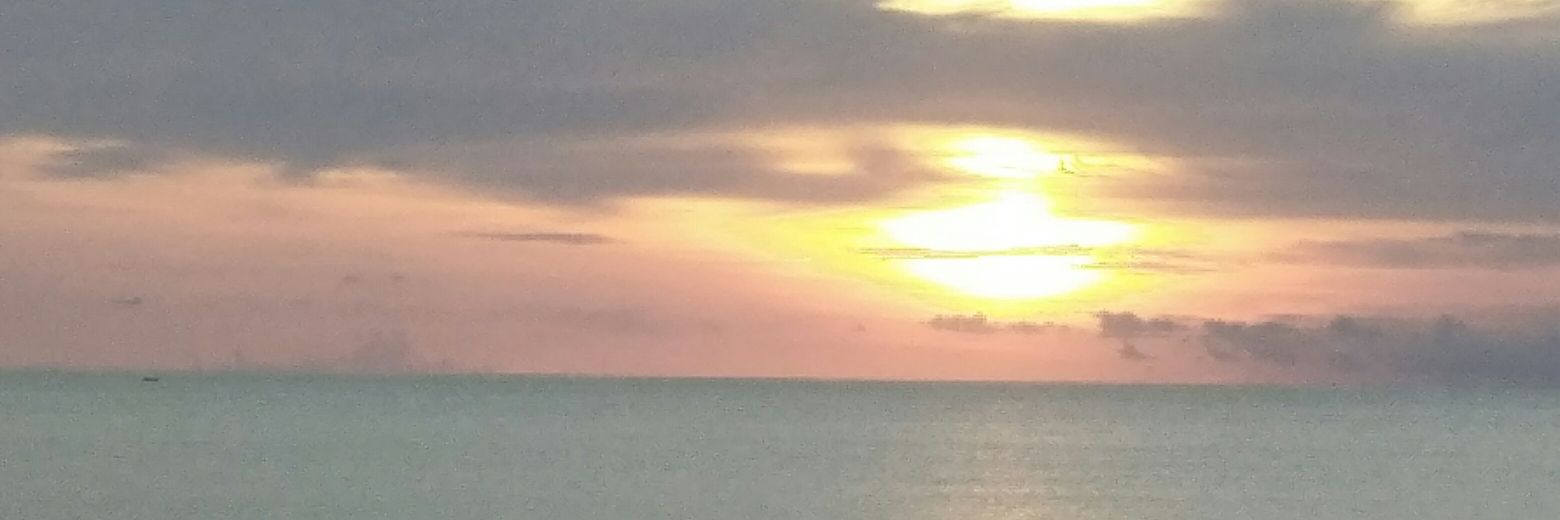 SyenyB's profile banner image