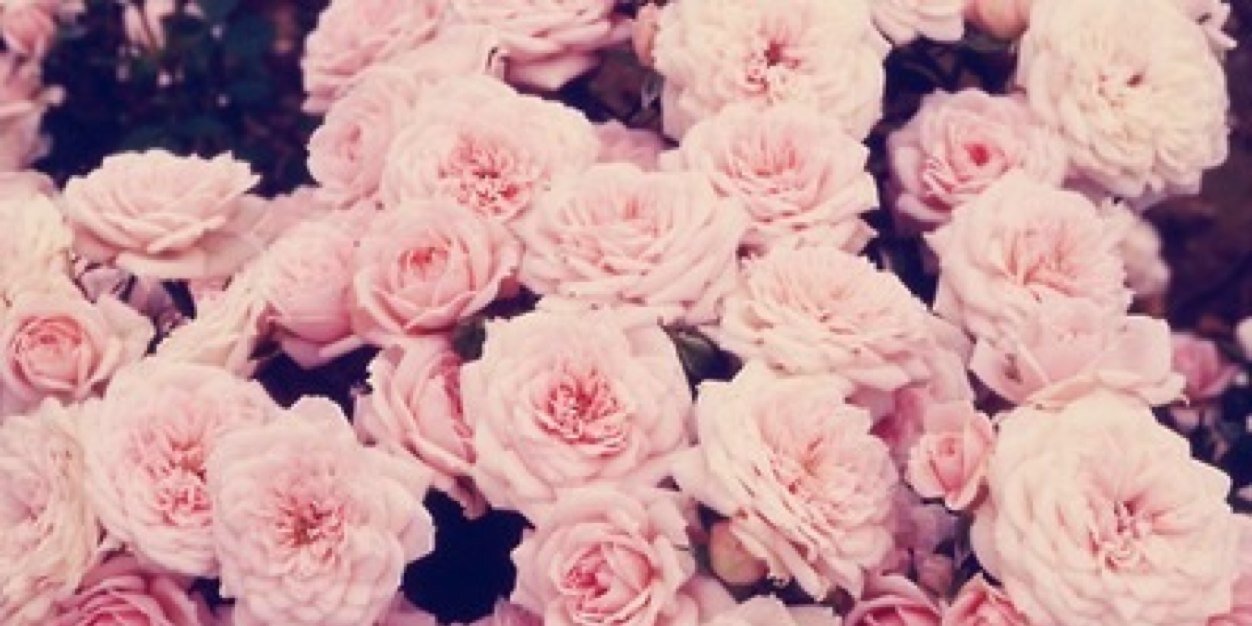 geannehoekstra's profile banner image