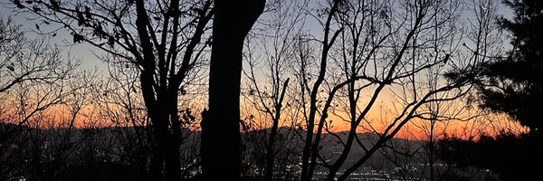 snowwhite_4 Profile Banner