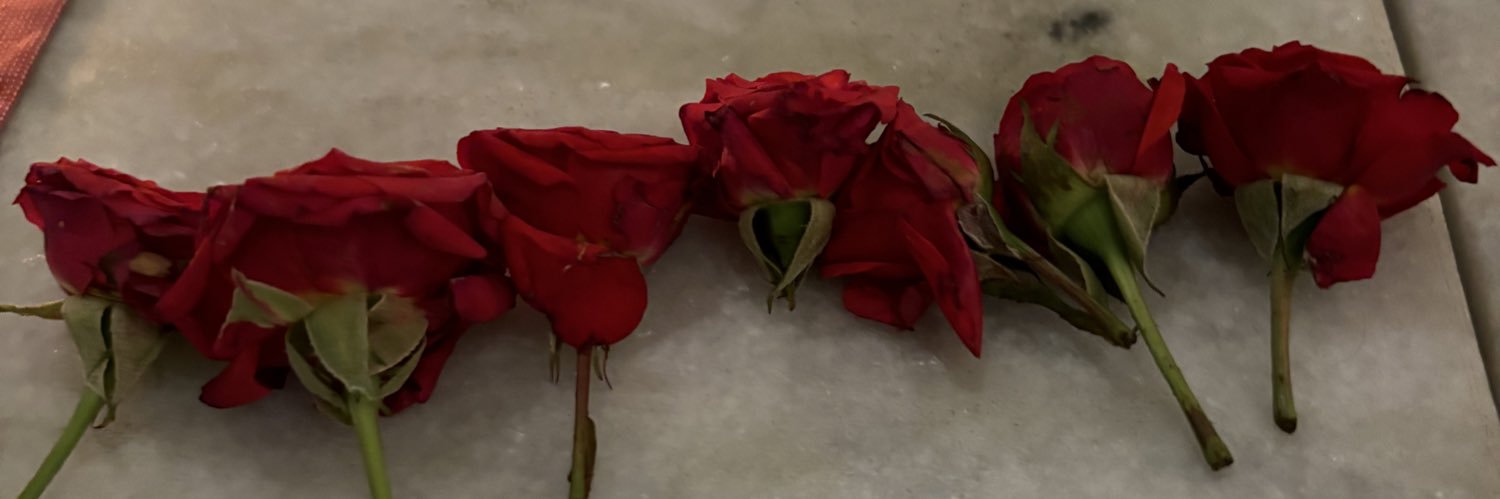 Thangam Debbonaire's banner