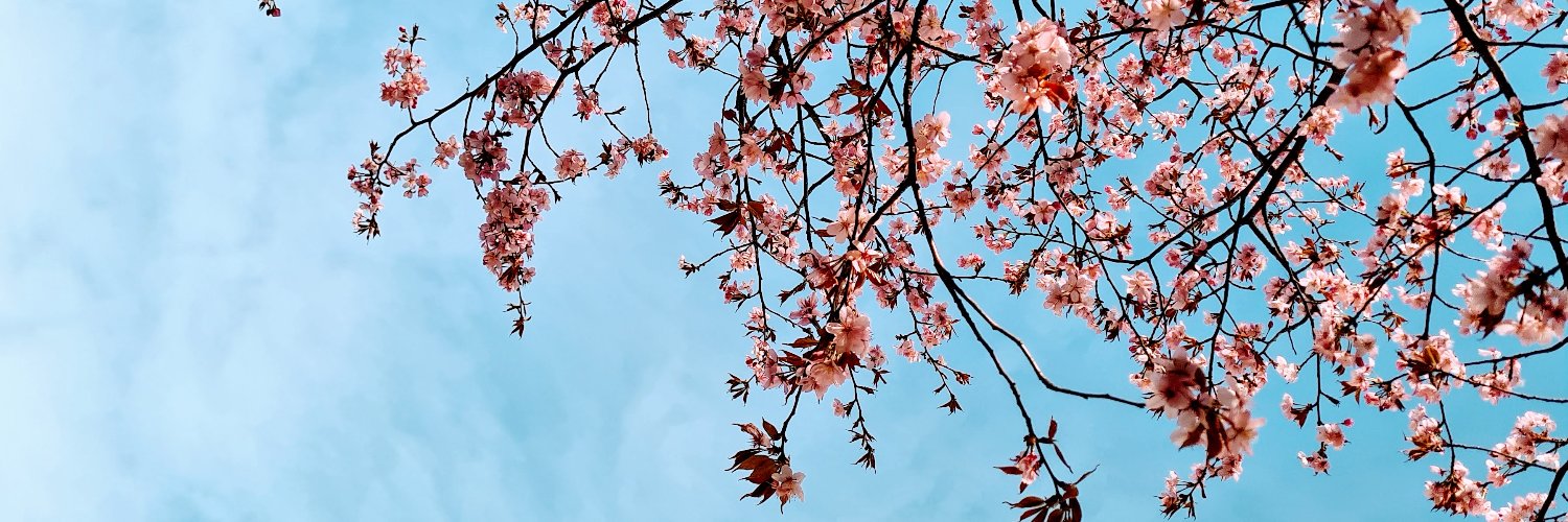 Natasa Giallourou banner