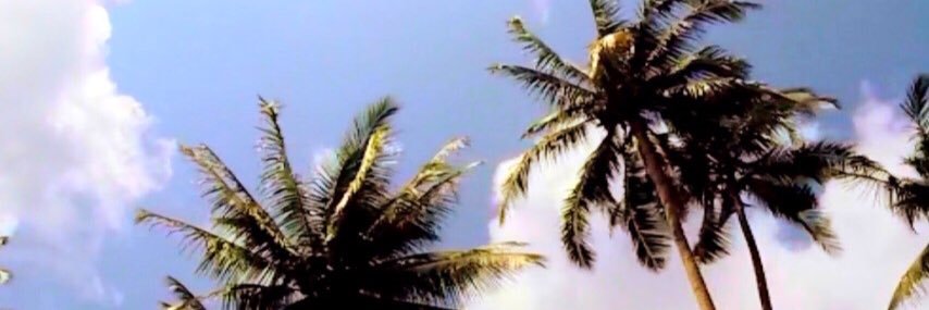 taykolman's profile banner image