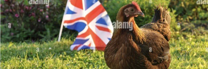 Iz🇬🇧✝️ 🏴󠁧󠁢󠁥󠁮󠁧󠁿 banner