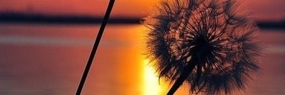 amber_lysm's profile banner image