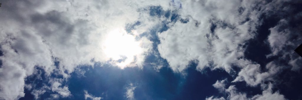 usakokko9's profile banner image