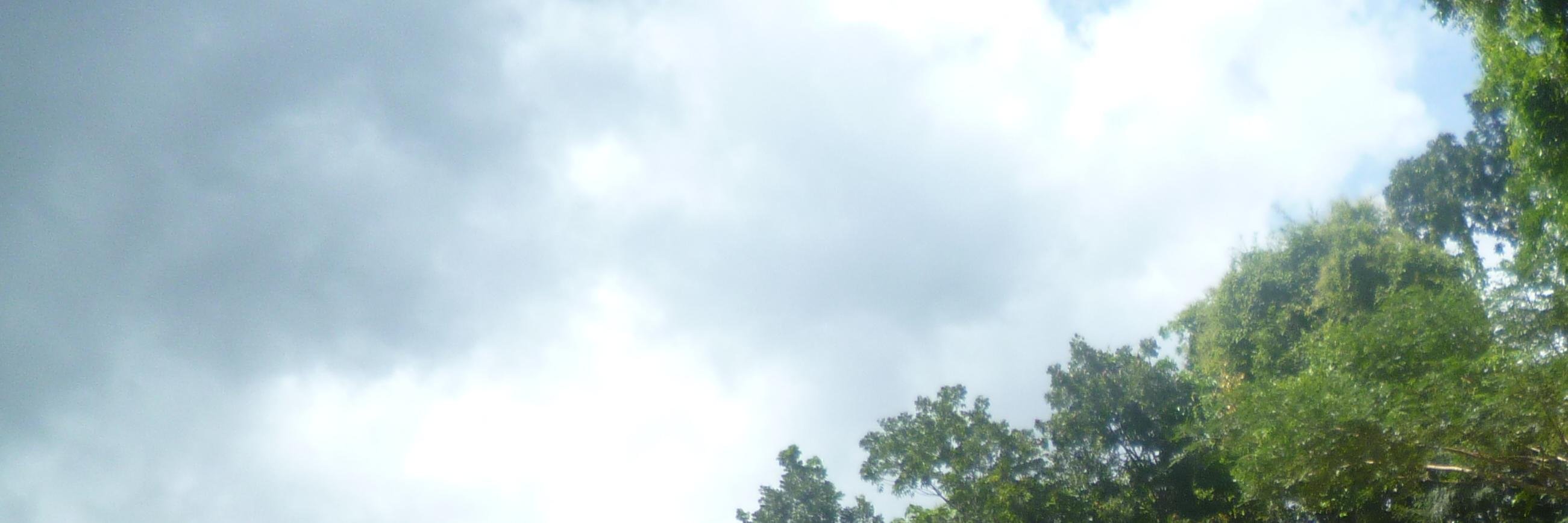 prsamaankuadrat's profile banner image