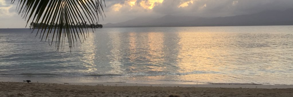 Mirjam Boonstra banner