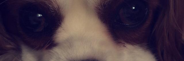 maritarh's profile banner image
