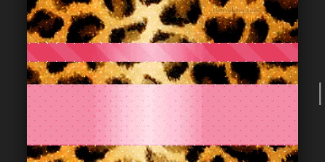 ___shespetite's profile banner image