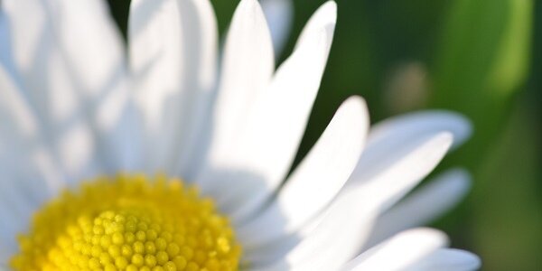 Cmclow22's profile banner image