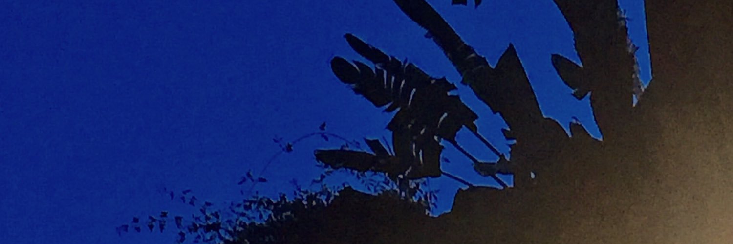 ataraaatar's profile banner image