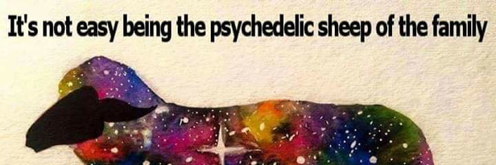 Carrie🍑🐕🐱🍀🤩🪐👽🛸 banner