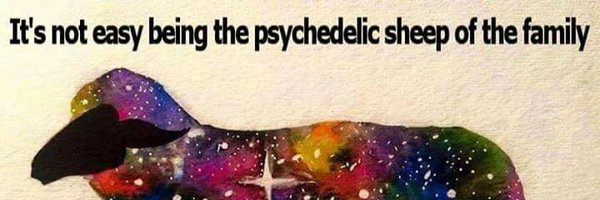 cfsb1906 Profile Banner