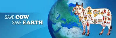 dkmanav41's profile banner image