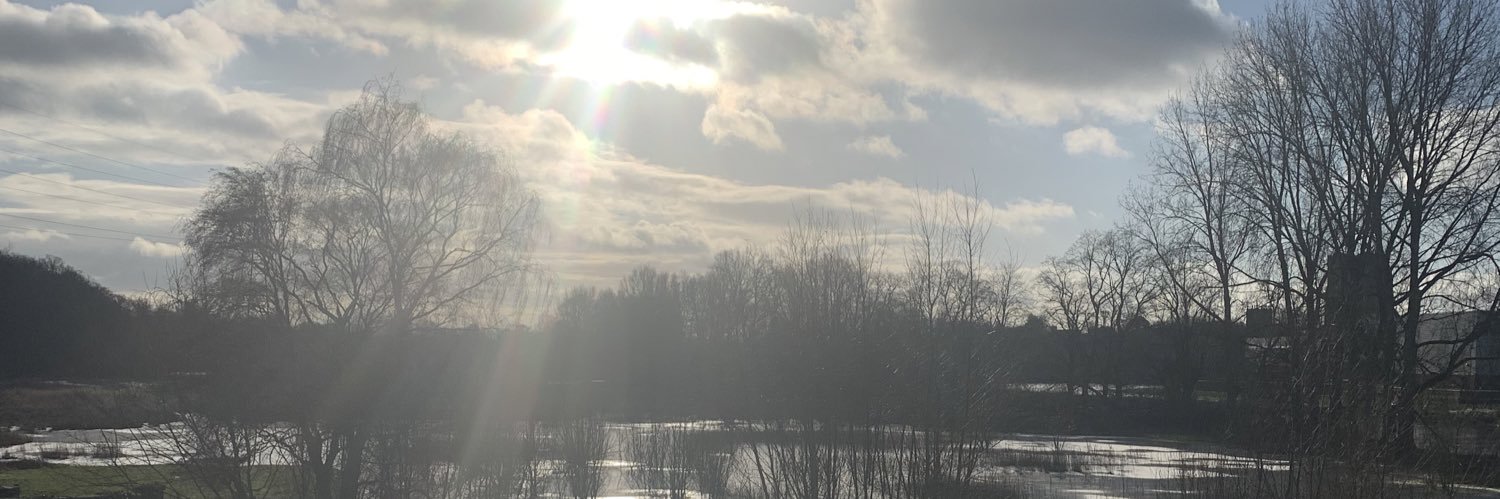 Daniela Quinlan banner