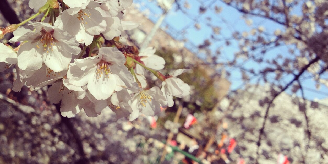k_tjm's profile banner image