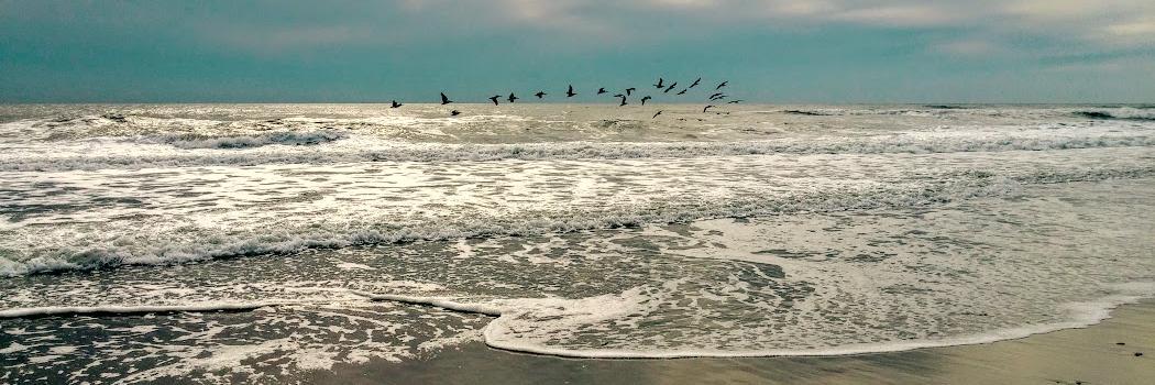 indianbeachnc's profile banner image