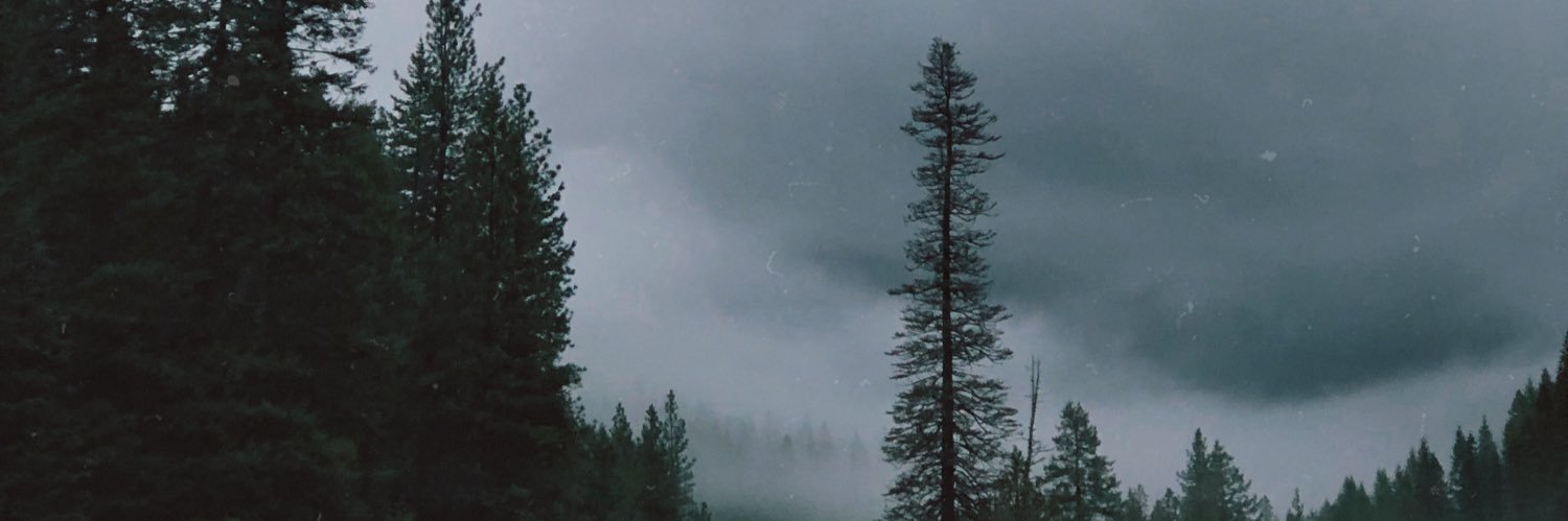 Dom_smithy44's profile banner image