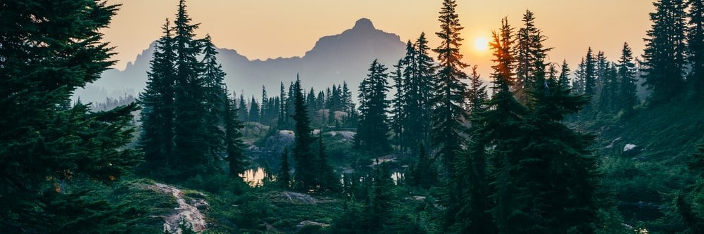 dmtchains's profile banner image