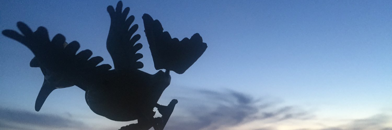 prodeveli's profile banner image