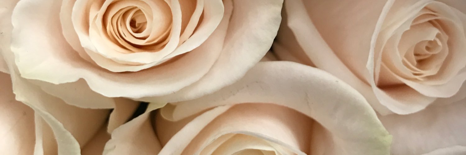 thatficklefox's profile banner image