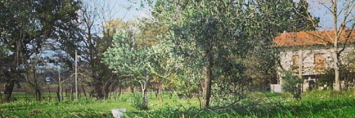 FrancescoAltini's profile banner image