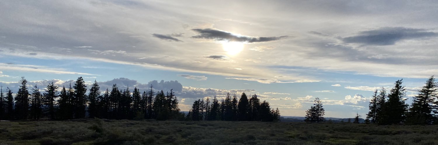 karleywitten3's profile banner image