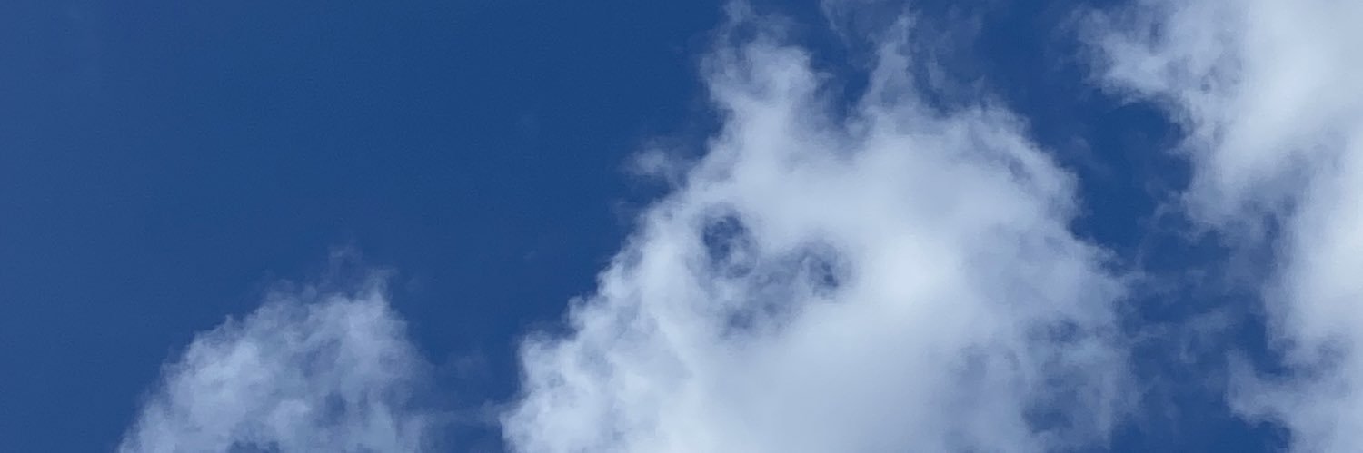immie banner