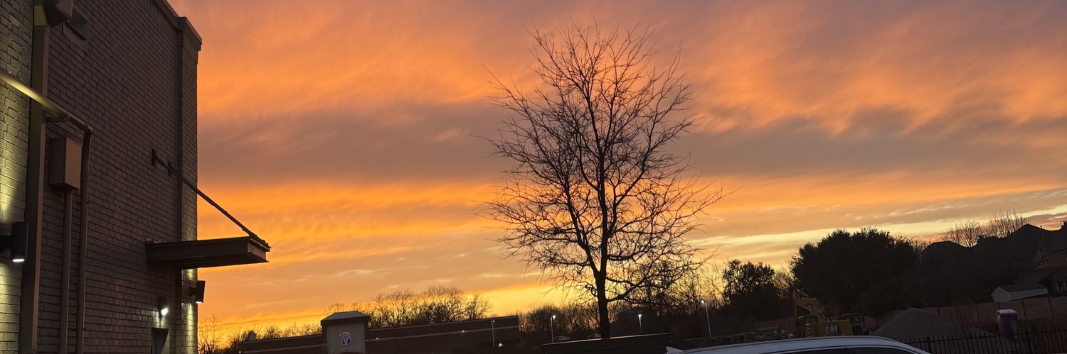 laterrliily's profile banner image