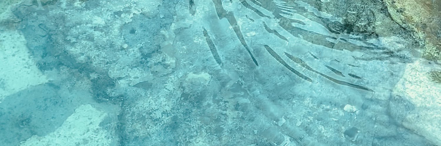 anags289's profile banner image