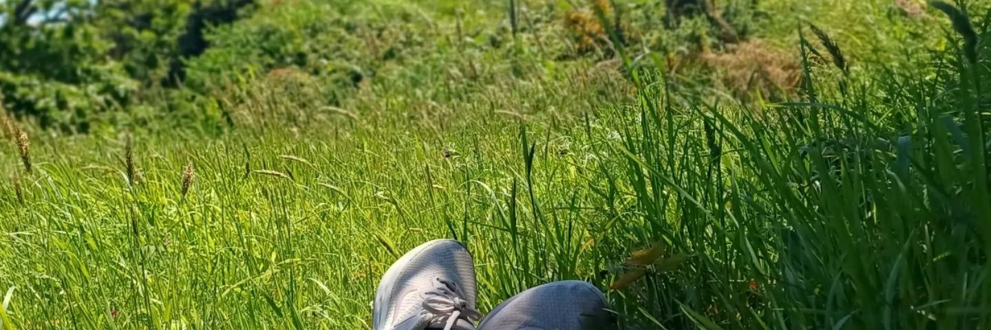shizakeane's profile banner image