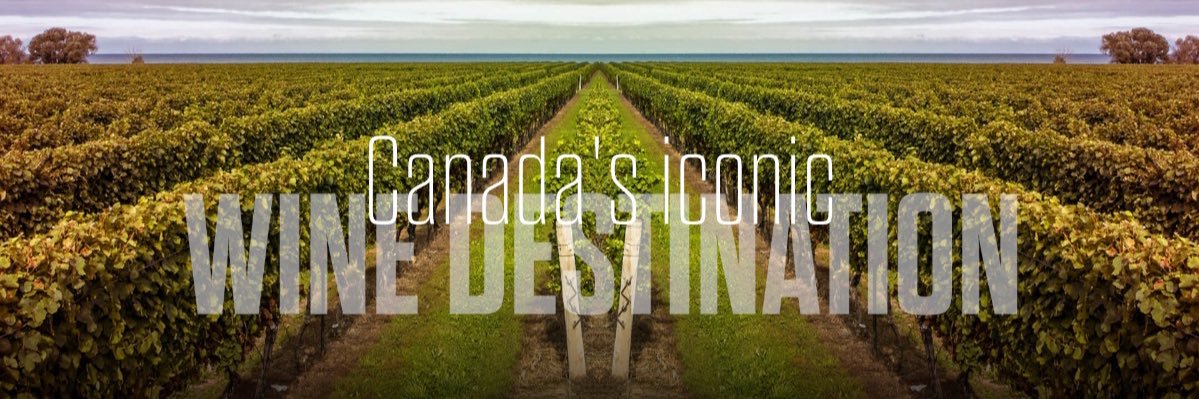 WineriesofNOTL's profile banner image
