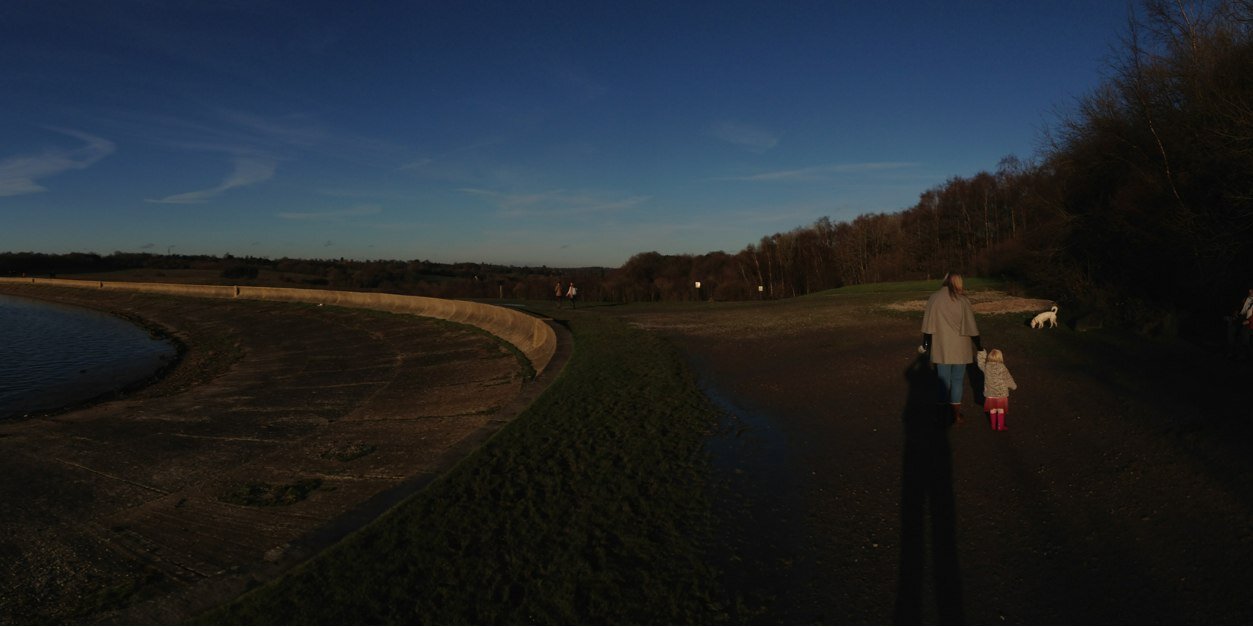 Robert Taylor banner