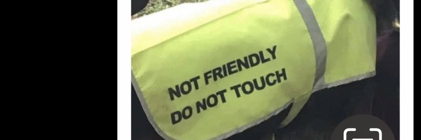Scopolamine 🫥 banner