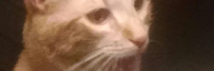 KayleighAnne87's profile banner image