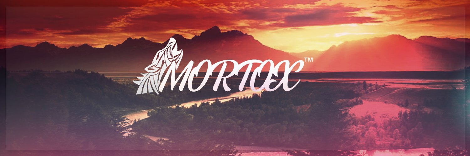 Mortox11's profile banner image