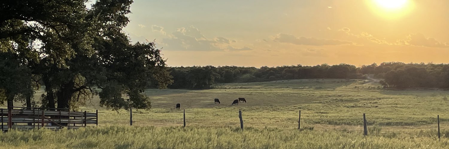 wtexashorn's profile banner image