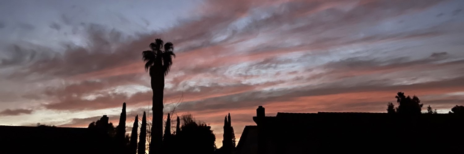 phannovak's profile banner image