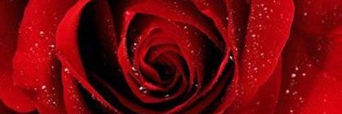 Kwlena's profile banner image