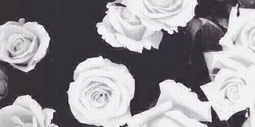 ChanelleKruger2's profile banner image