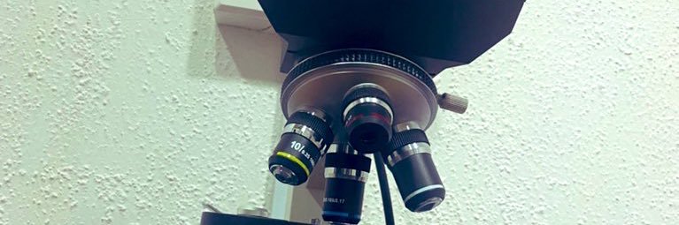 Aremson the Vet banner