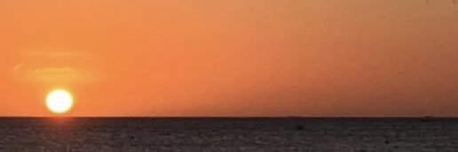 Aurélie Herbemont banner