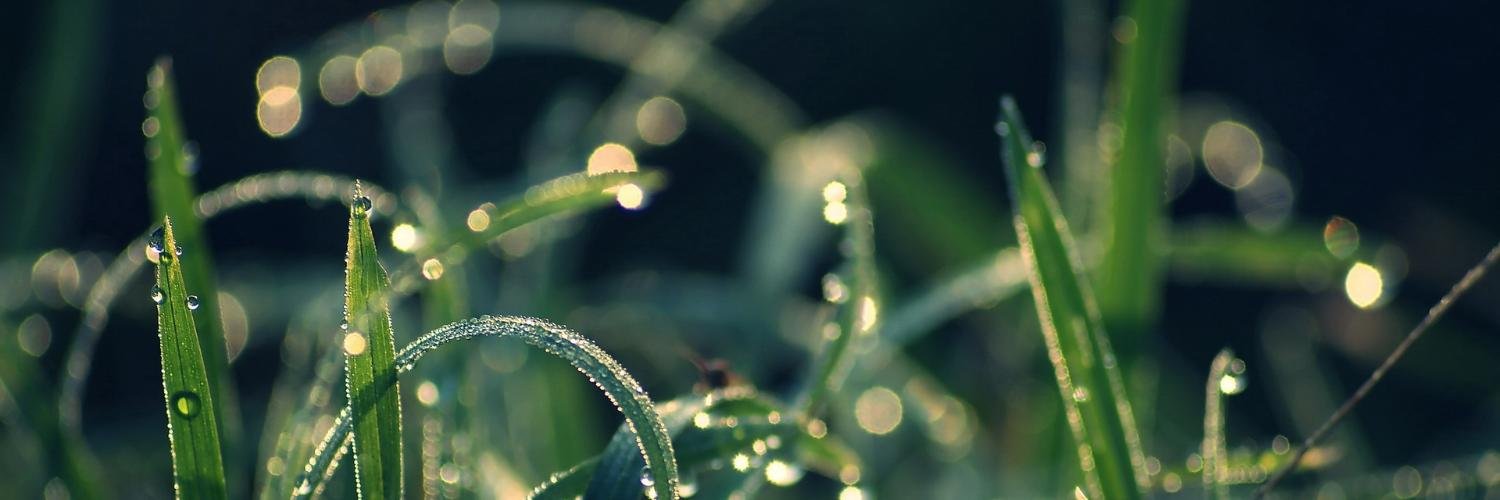 H2O banner